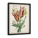 Bouquet Botánico Iv | Cuadro decorativo de Canvas Lab