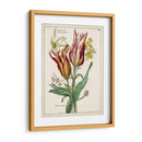 Bouquet Botánico Iv | Cuadro decorativo de Canvas Lab