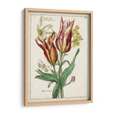 Bouquet Botánico Iv | Cuadro decorativo de Canvas Lab