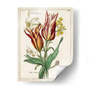 Bouquet Botánico Iv | Cuadro decorativo de Canvas Lab