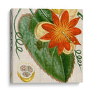 Turpin Tropicales Recortados I - Vision Studio | Cuadro decorativo de Canvas Lab