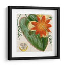 Turpin Tropicales Recortados I - Vision Studio | Cuadro decorativo de Canvas Lab