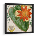 Turpin Tropicales Recortados I - Vision Studio | Cuadro decorativo de Canvas Lab