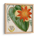 Turpin Tropicales Recortados I - Vision Studio | Cuadro decorativo de Canvas Lab