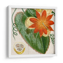 Turpin Tropicales Recortados I - Vision Studio | Cuadro decorativo de Canvas Lab