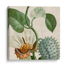 Turpin Tropical Cosechado Ii - Vision Studio | Cuadro decorativo de Canvas Lab