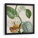 Turpin Tropical Cosechado Ii - Vision Studio | Cuadro decorativo de Canvas Lab