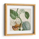 Turpin Tropical Cosechado Ii - Vision Studio | Cuadro decorativo de Canvas Lab