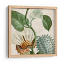 Turpin Tropical Cosechado Ii - Vision Studio | Cuadro decorativo de Canvas Lab
