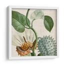 Turpin Tropical Cosechado Ii - Vision Studio | Cuadro decorativo de Canvas Lab