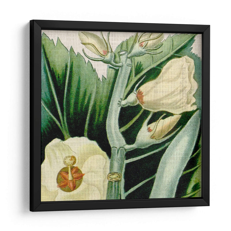 Tropical Turpin Tropicals Iii - Vision Studio | Cuadro decorativo de Canvas Lab