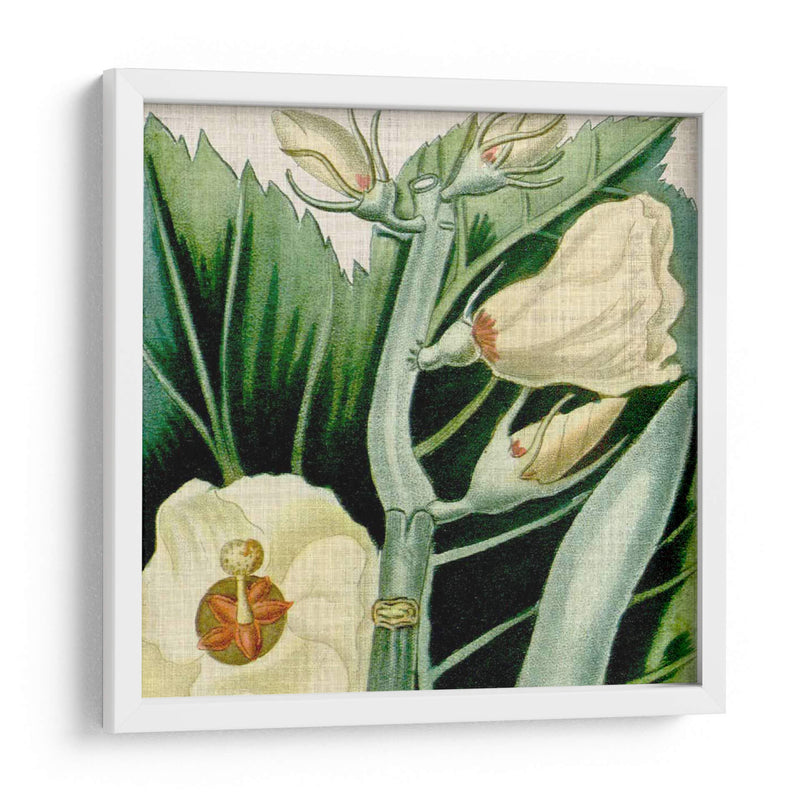 Tropical Turpin Tropicals Iii - Vision Studio | Cuadro decorativo de Canvas Lab