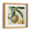 Turpin Tropicales Recortados V - Vision Studio | Cuadro decorativo de Canvas Lab