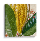 Turpin Tropicales Recortados Vi - Vision Studio | Cuadro decorativo de Canvas Lab