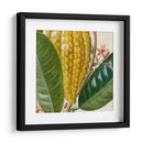 Turpin Tropicales Recortados Vi - Vision Studio | Cuadro decorativo de Canvas Lab