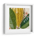 Turpin Tropicales Recortados Vi - Vision Studio | Cuadro decorativo de Canvas Lab