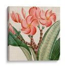 Turpin Tropicales Recortados Vii - Vision Studio | Cuadro decorativo de Canvas Lab