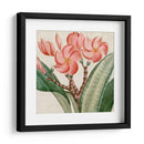 Turpin Tropicales Recortados Vii - Vision Studio | Cuadro decorativo de Canvas Lab