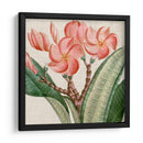 Turpin Tropicales Recortados Vii - Vision Studio | Cuadro decorativo de Canvas Lab