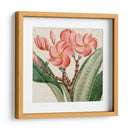 Turpin Tropicales Recortados Vii - Vision Studio | Cuadro decorativo de Canvas Lab