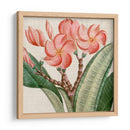 Turpin Tropicales Recortados Vii - Vision Studio | Cuadro decorativo de Canvas Lab