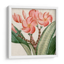 Turpin Tropicales Recortados Vii - Vision Studio | Cuadro decorativo de Canvas Lab