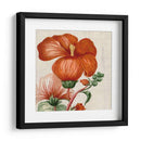 Turpin Tropicales Tropicales Viii - Vision Studio | Cuadro decorativo de Canvas Lab