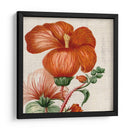 Turpin Tropicales Tropicales Viii - Vision Studio | Cuadro decorativo de Canvas Lab