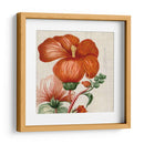 Turpin Tropicales Tropicales Viii - Vision Studio | Cuadro decorativo de Canvas Lab