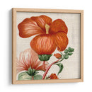 Turpin Tropicales Tropicales Viii - Vision Studio | Cuadro decorativo de Canvas Lab