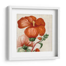 Turpin Tropicales Tropicales Viii - Vision Studio | Cuadro decorativo de Canvas Lab