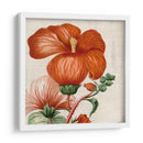 Turpin Tropicales Tropicales Viii - Vision Studio | Cuadro decorativo de Canvas Lab