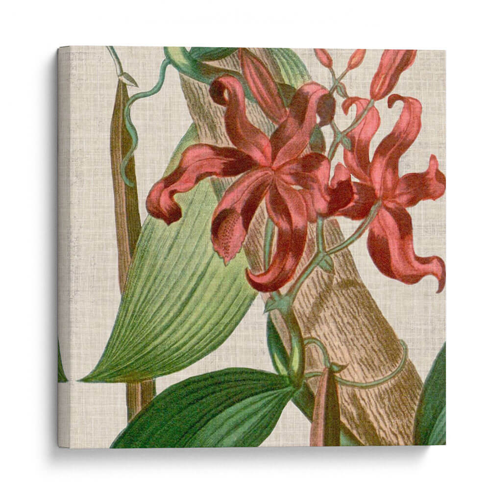 Turbin Turpin Tropicals Ix - Vision Studio | Cuadro decorativo de Canvas Lab