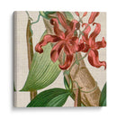 Turbin Turpin Tropicals Ix - Vision Studio | Cuadro decorativo de Canvas Lab