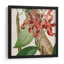 Turbin Turpin Tropicals Ix - Vision Studio | Cuadro decorativo de Canvas Lab