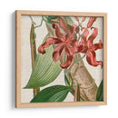 Turbin Turpin Tropicals Ix - Vision Studio | Cuadro decorativo de Canvas Lab