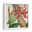 Turbin Turpin Tropicals Ix - Vision Studio | Cuadro decorativo de Canvas Lab