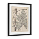 Hojas Distintivas I - Vision Studio | Cuadro decorativo de Canvas Lab