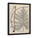 Hojas Distintivas I - Vision Studio | Cuadro decorativo de Canvas Lab