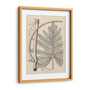 Hojas Distintivas I - Vision Studio | Cuadro decorativo de Canvas Lab