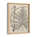 Hojas Distintivas I - Vision Studio | Cuadro decorativo de Canvas Lab