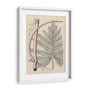 Hojas Distintivas I - Vision Studio | Cuadro decorativo de Canvas Lab