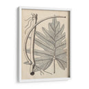 Hojas Distintivas I - Vision Studio | Cuadro decorativo de Canvas Lab