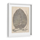 Hojas Distintivas Ii - Vision Studio | Cuadro decorativo de Canvas Lab