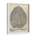 Hojas Distintivas Ii - Vision Studio | Cuadro decorativo de Canvas Lab