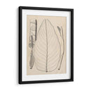 Hojas Distintivas Iii - Vision Studio | Cuadro decorativo de Canvas Lab