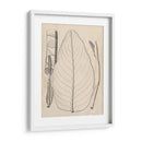 Hojas Distintivas Iii - Vision Studio | Cuadro decorativo de Canvas Lab