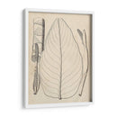 Hojas Distintivas Iii - Vision Studio | Cuadro decorativo de Canvas Lab