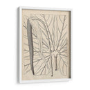 Hojas Distintivas Iv - Vision Studio | Cuadro decorativo de Canvas Lab