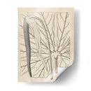 Hojas Distintivas Iv - Vision Studio | Cuadro decorativo de Canvas Lab